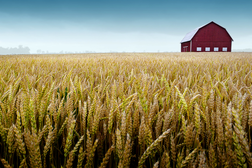 Barn