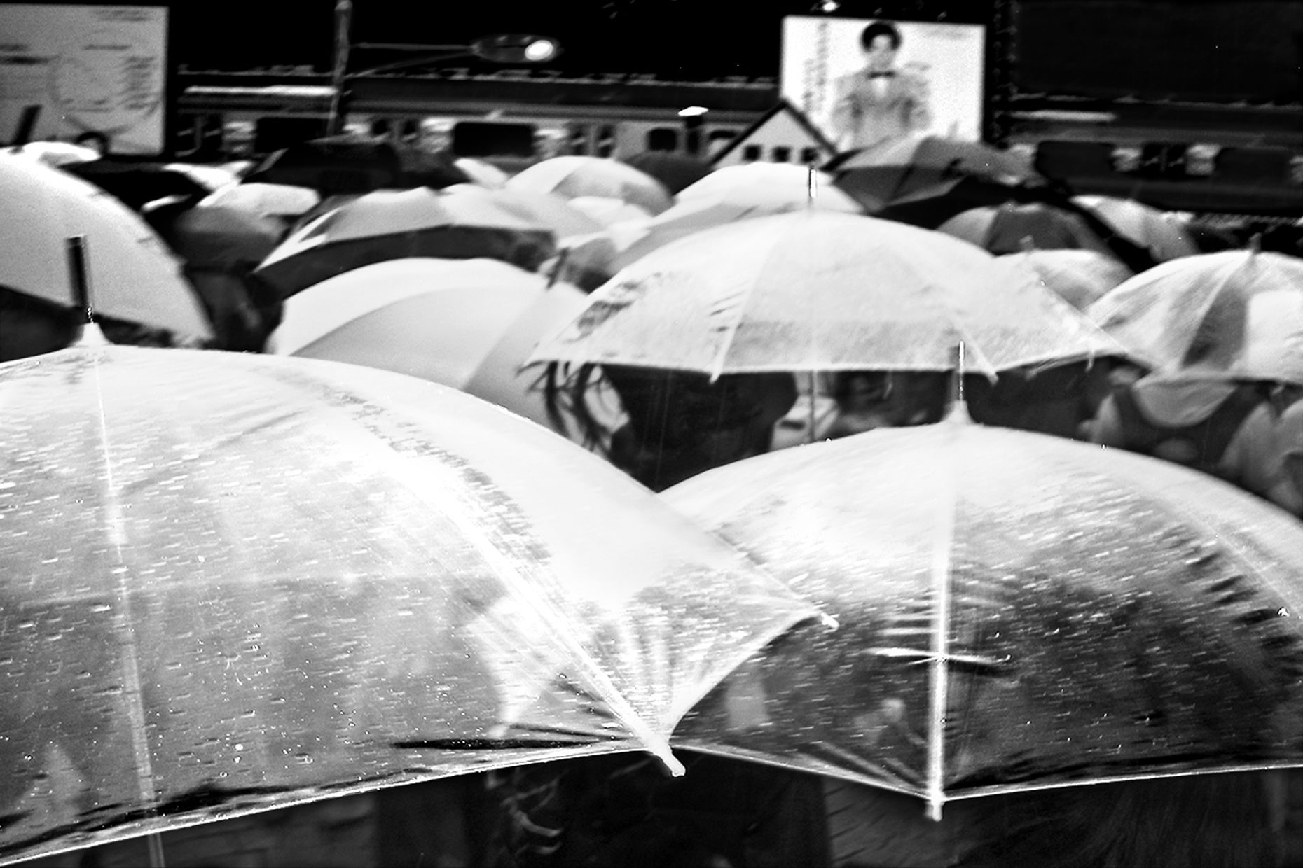 Japan_Umbrellas